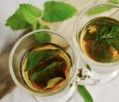 Чай с мятой: полезные свойства и противопоказания Чай с перечной мятой польза и вред